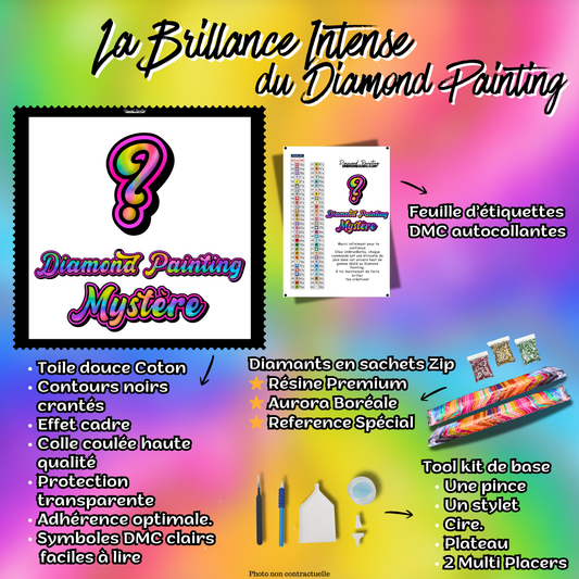 Toile Mystère Thème Noël 2 (60cm x 60cm)