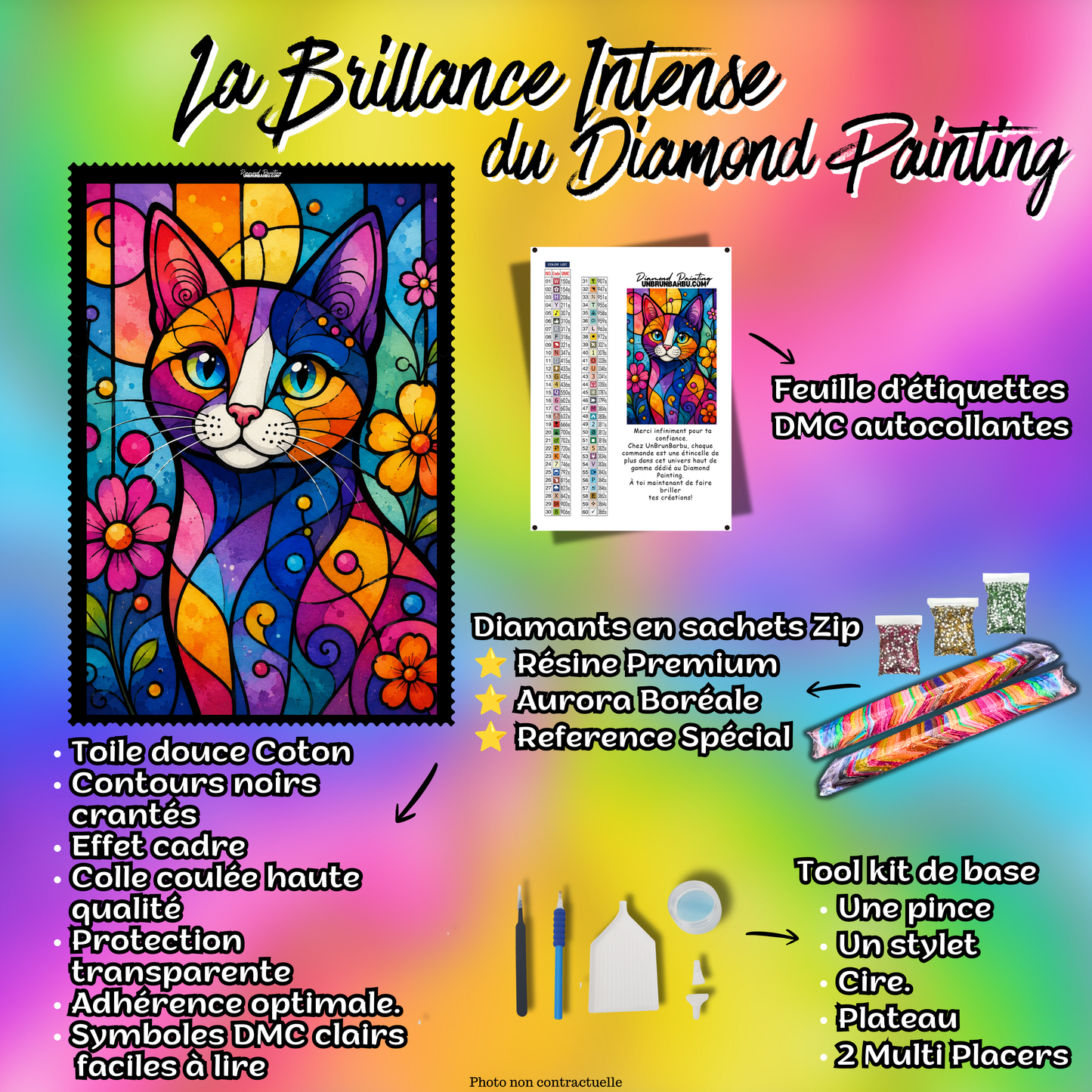 Kit complet Diamond Painting Le Chat Pop Art 40x55 cm avec diamants Premium et accessoires