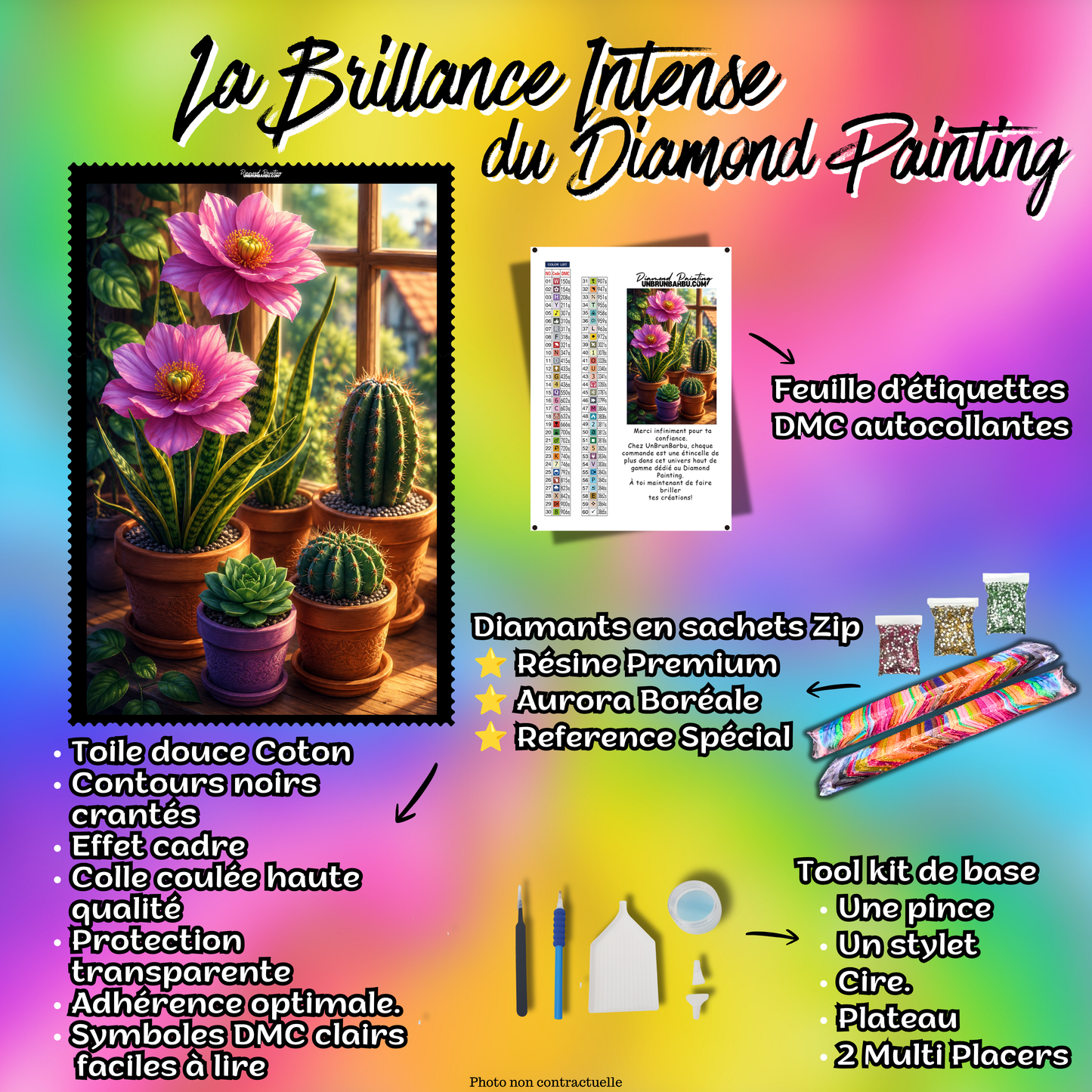 diamond painting entre cactus et fleurs 60x90 kit complet