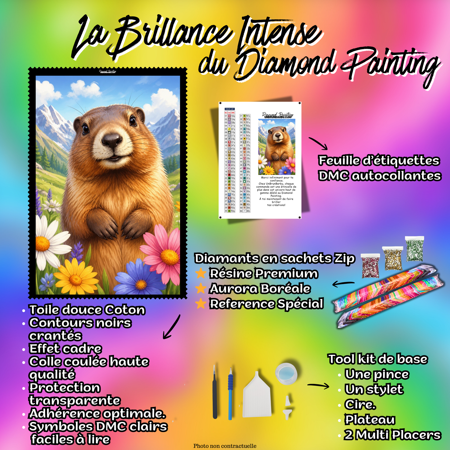 diamond painting marmotte entre montagnes et fleurs 70x90 cm kit complet