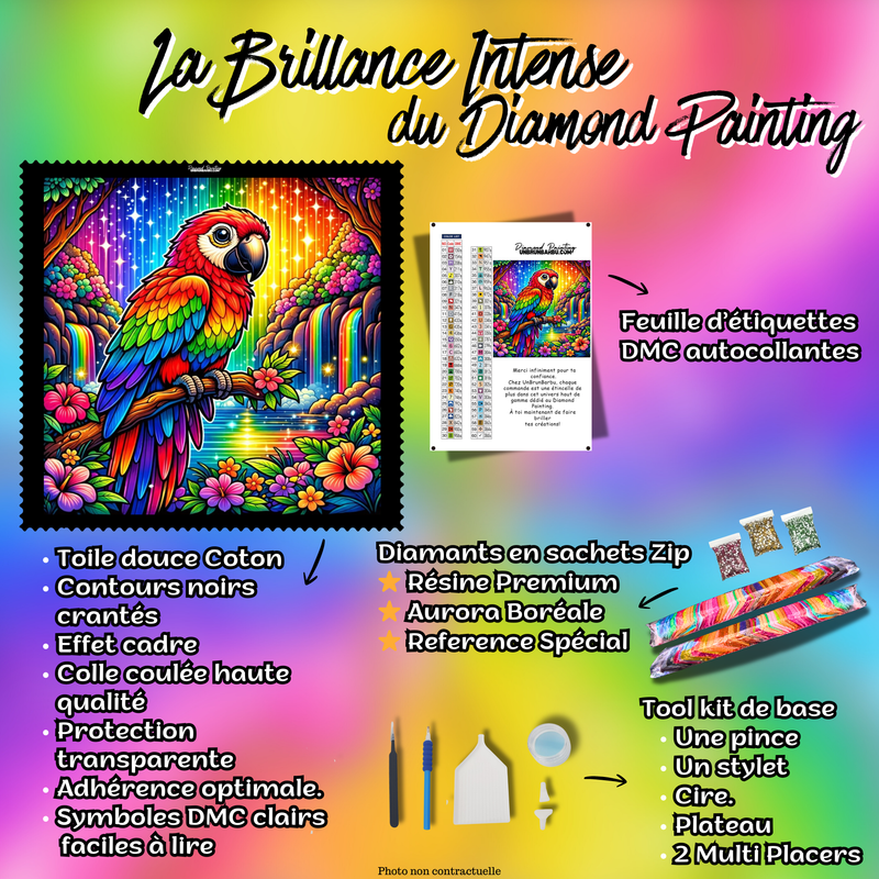 Kit complet du Diamond Painting Perroquet du Paradis Arc-en-Ciel 80x80 cm avec accessoires