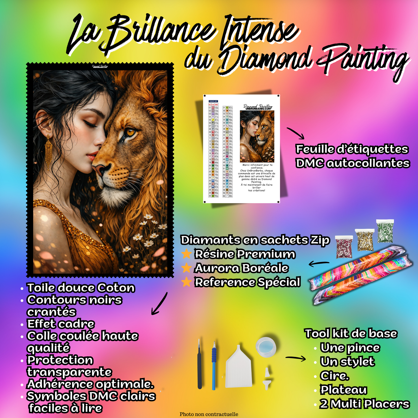 kit diamond painting femme lion accessoires toile complète