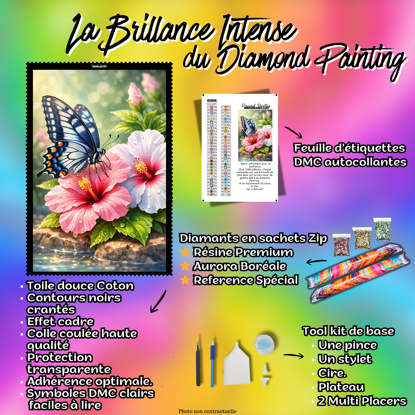 kit diamond painting papillon hibiscus accessoires toile complete