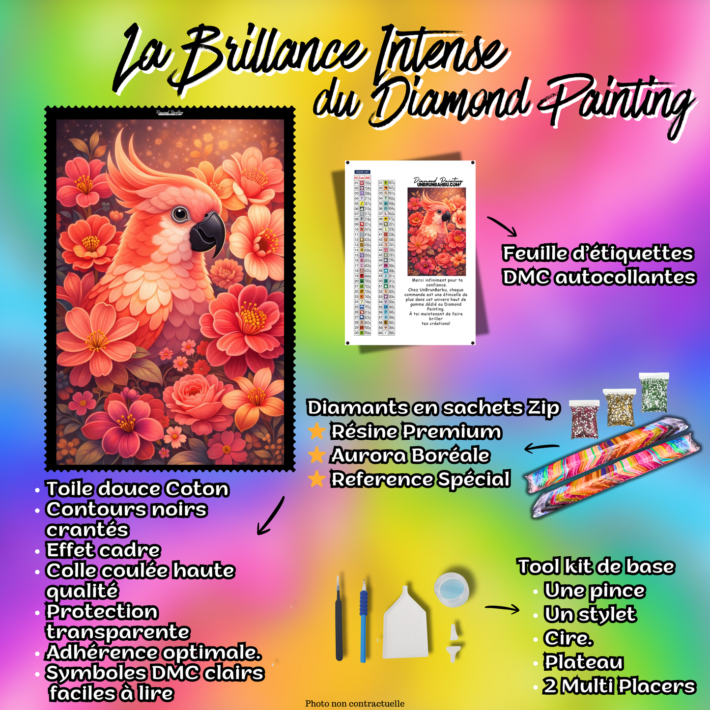 kit diamond painting perroquet tropical accessoires inclus