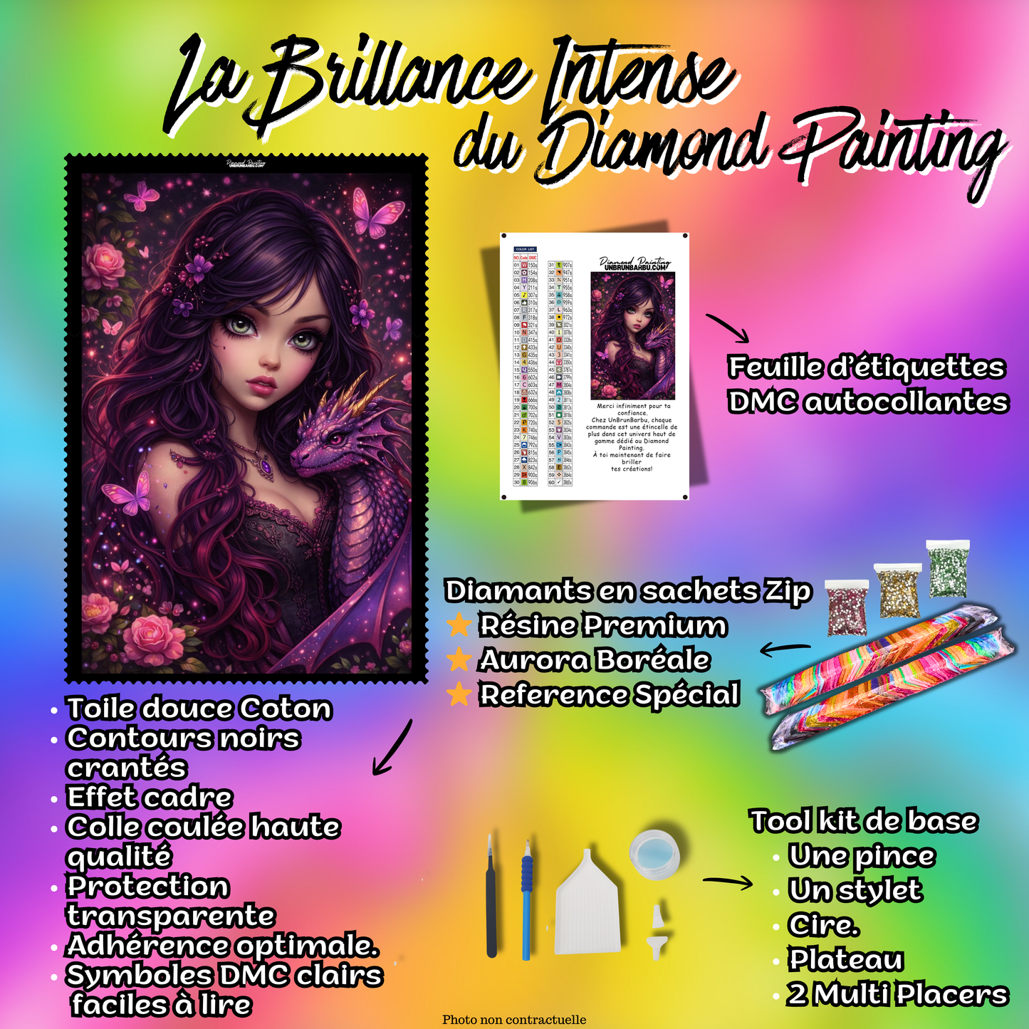 contenu kit diamond painting princesse dragon violet accessoires