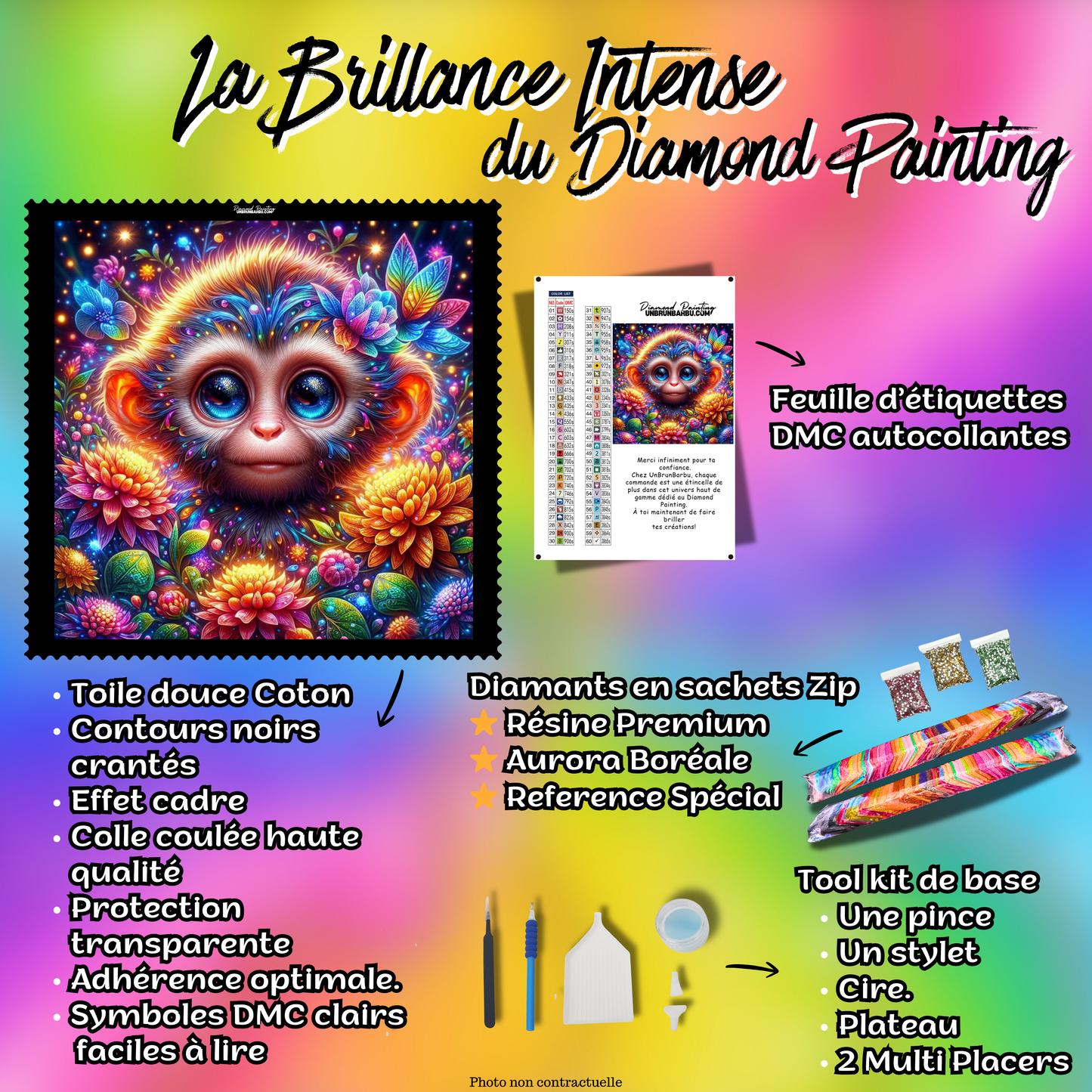 kit diamond painting singe accessoires inclus
