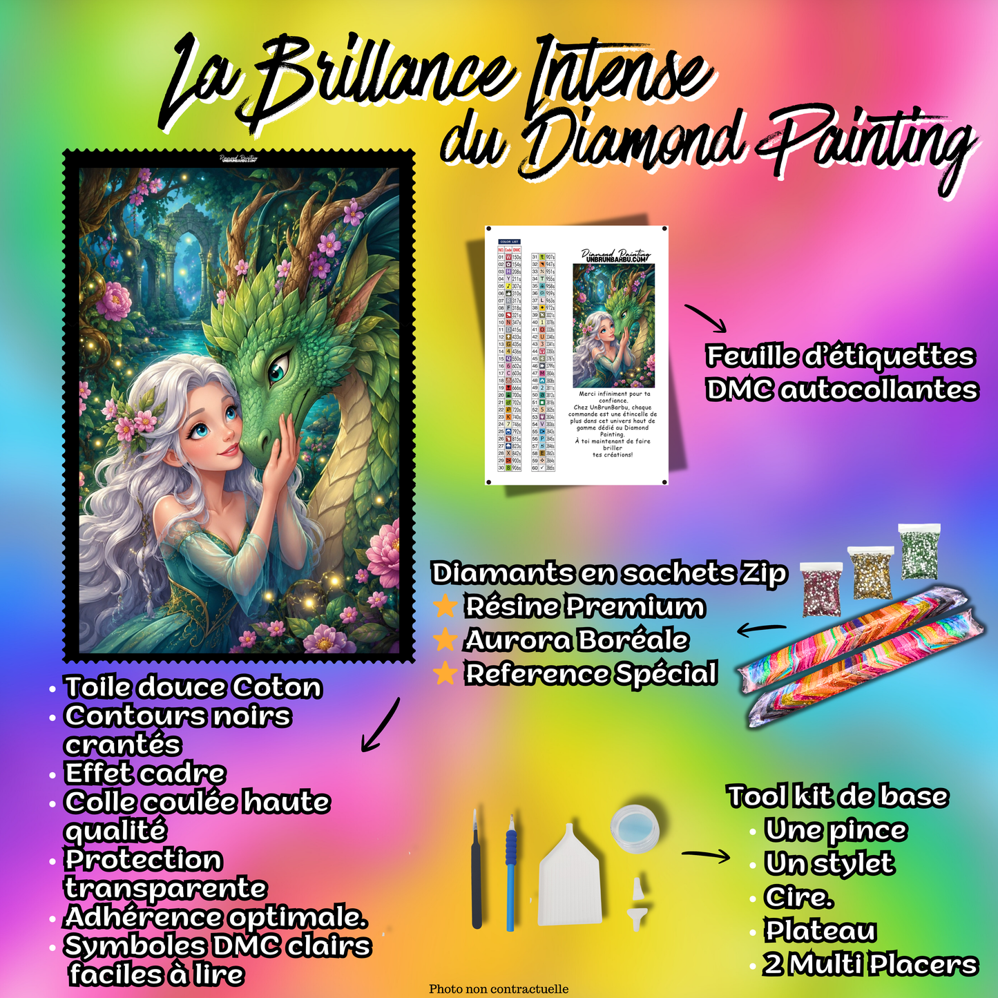 kit diamond painting princesse dragon emeraude foret enchantee 100x120 contenu complet