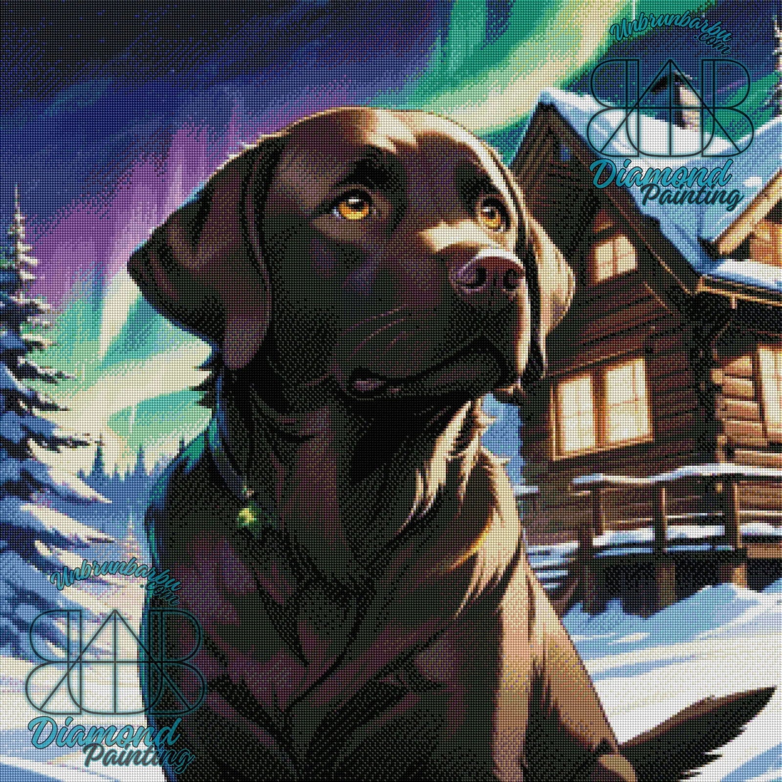 Aurores Labrador Chocolat. (80cm x 80cm). - UnBrunBarbu