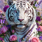 Diamond Painting - Tigre Blanc Douceur Sauvage (80cm x 120cm)