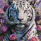 Diamond Painting - Tigre Blanc Douceur Sauvage (80cm x 120cm)