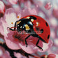 Diamond Painting - Coccinelle Porte-Bonheur du Cerisier (60cm x 90cm)