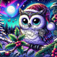 La Chouette du Ciel Boréal (80cm x 80cm)