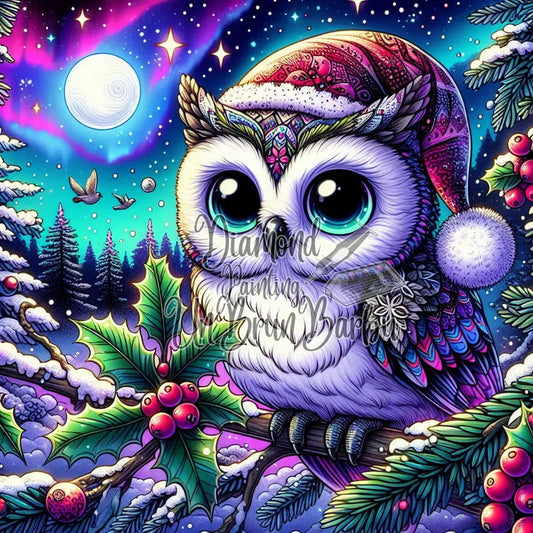 La Chouette du Ciel Boréal (80cm x 80cm)