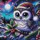 La Chouette du Ciel Boréal (80cm x 80cm)