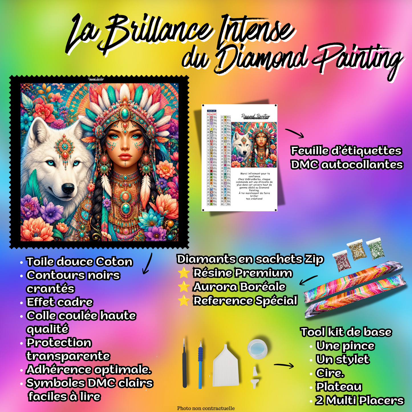 Kit premium Diamond Painting L’Indienne au Loup Blanc avec toile coton, diamants en sachets zip, étiquettes DMC et accessoires