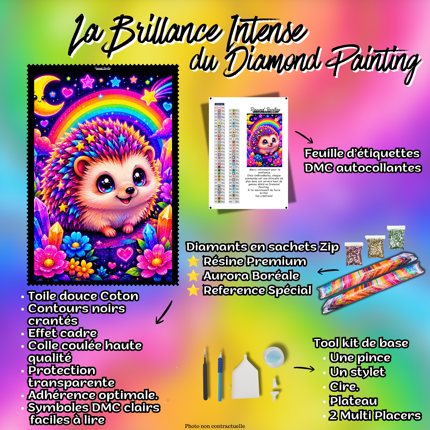 Kit Diamond Painting Premium Le Hérisson aux Cristaux Magiques avec toile coton, diamants en sachets zip, accessoires et feuille DMC