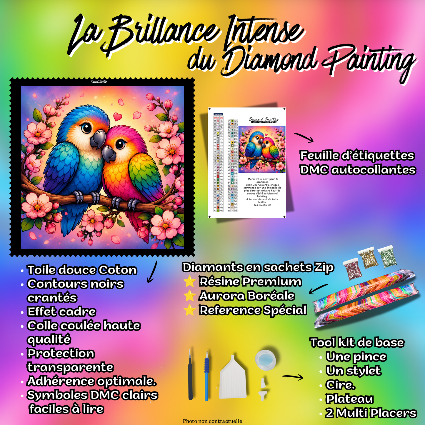 Kit Diamond Painting premium Les Perroquets du Cœur avec toile coton, diamants en sachets zip, accessoires et étiquettes DMC