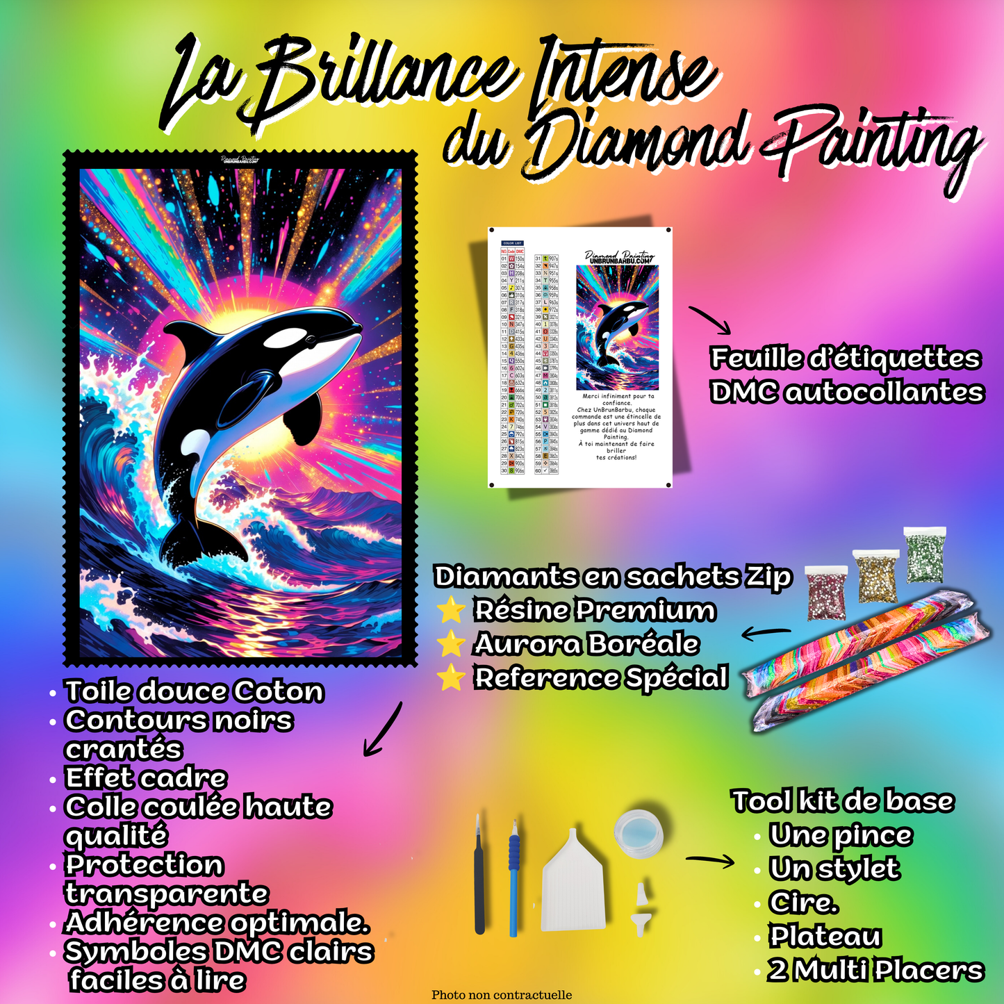 Kit premium Diamond Painting Orque des Vagues Éternelles avec toile coton, diamants en sachets zip, étiquettes DMC et accessoires