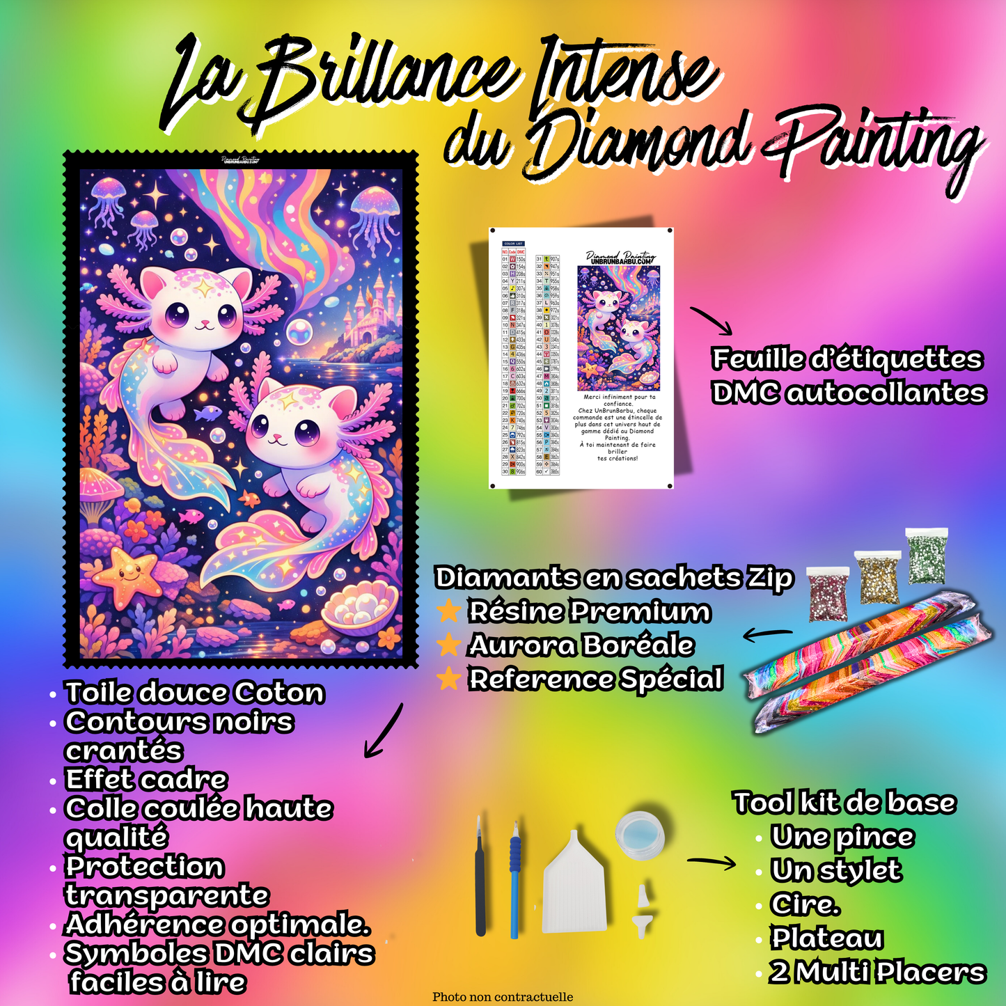 kit diamond painting axolotl accessoires toile complete