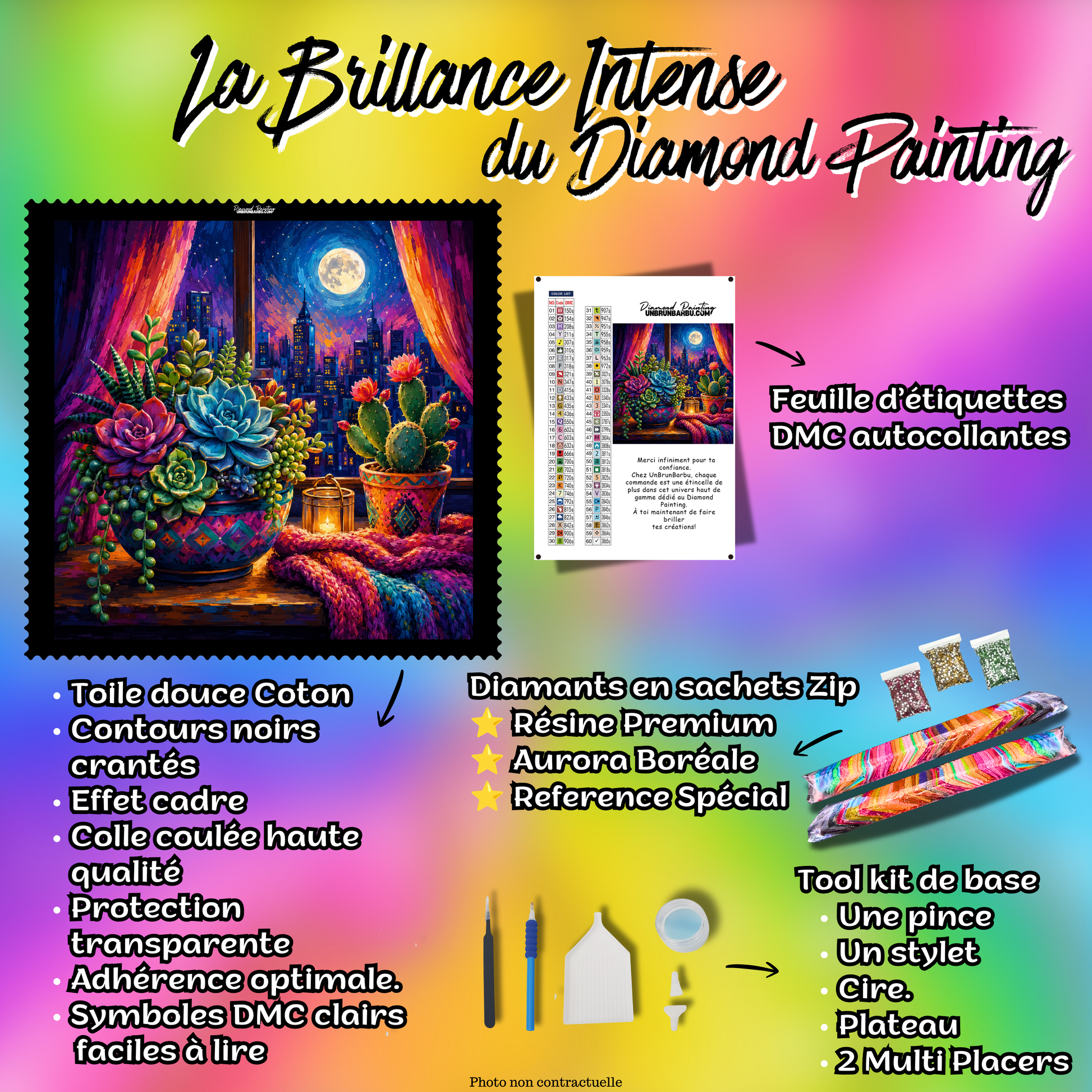 Kit complet Diamond Painting Cactus sous la Pleine Lune 100x100 cm avec diamants et accessoires