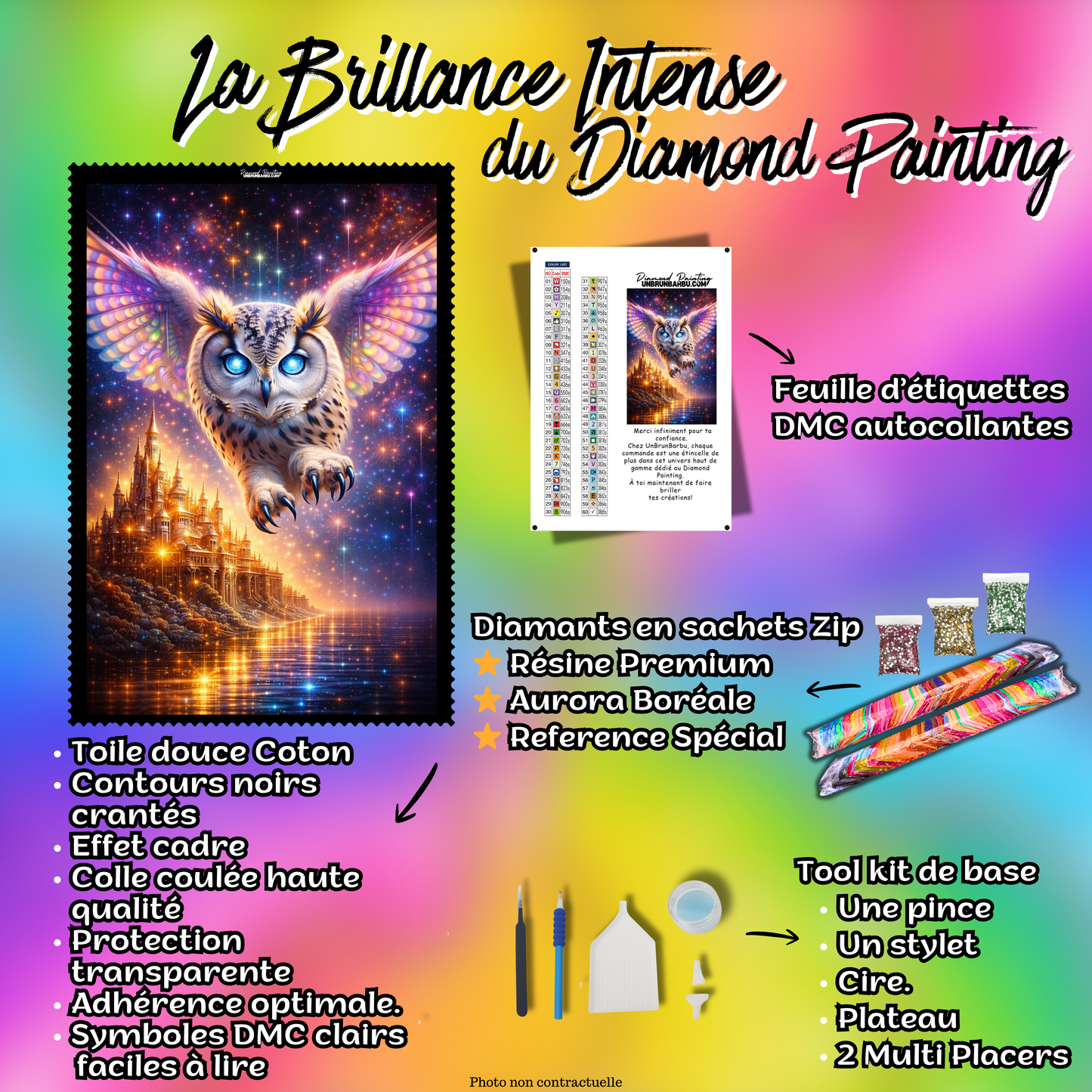 kit diamond painting chouette accessoires toile complete