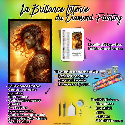 kit diamond painting elfe accessoires inclus
