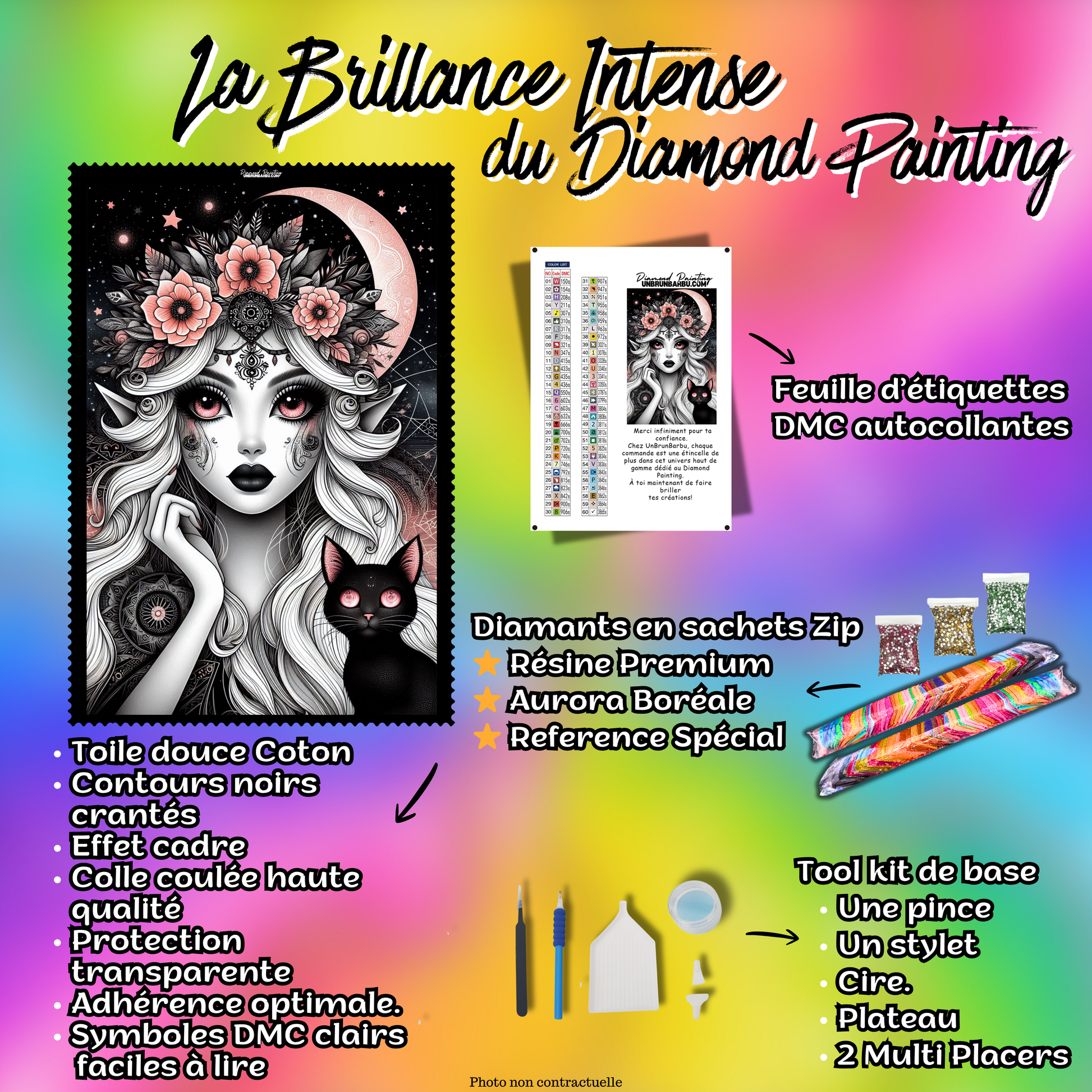 kit diamond painting gardienne accessoires inclus