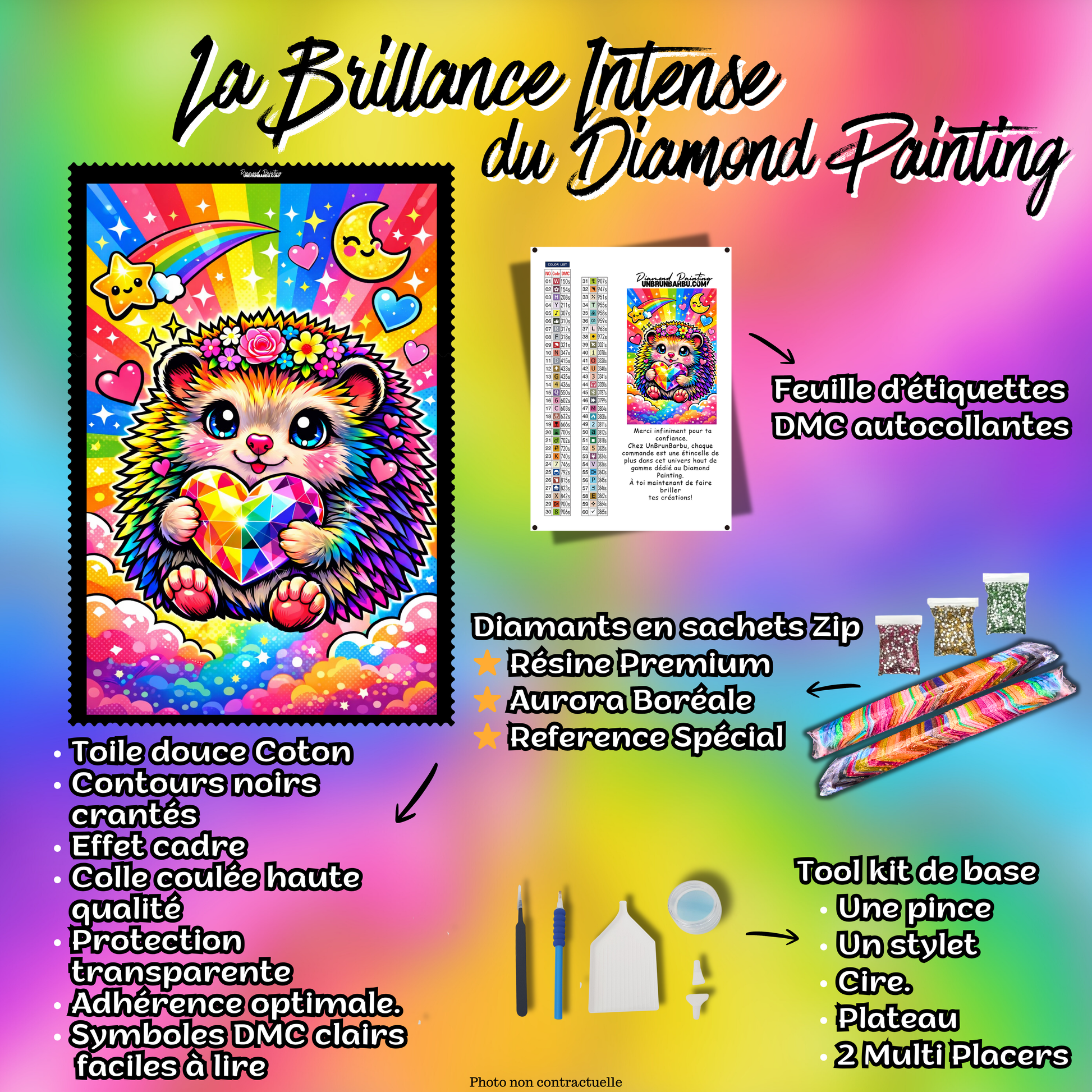 kit diamond painting herisson accessoires complet