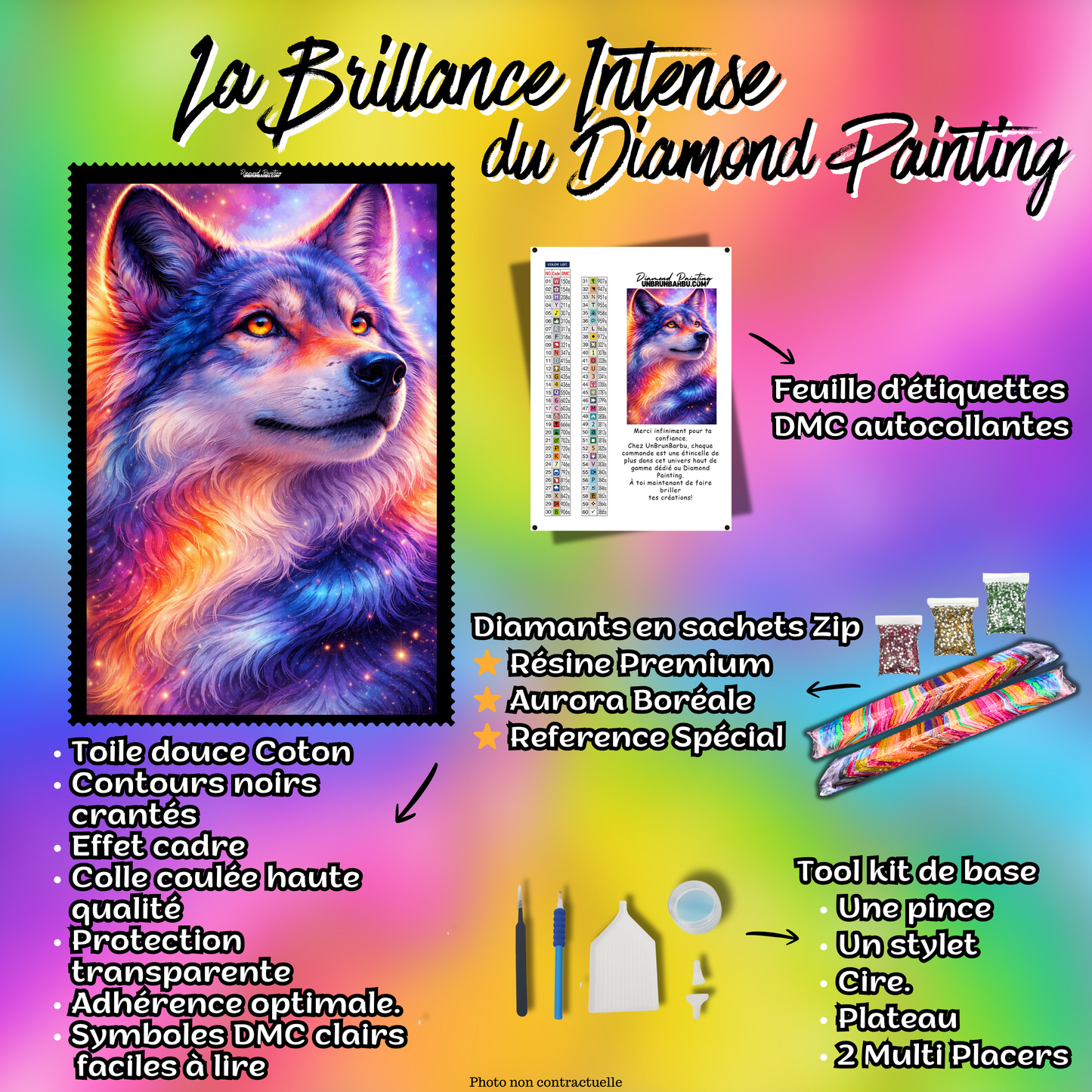 kit diamond painting loup accessoires toile complete