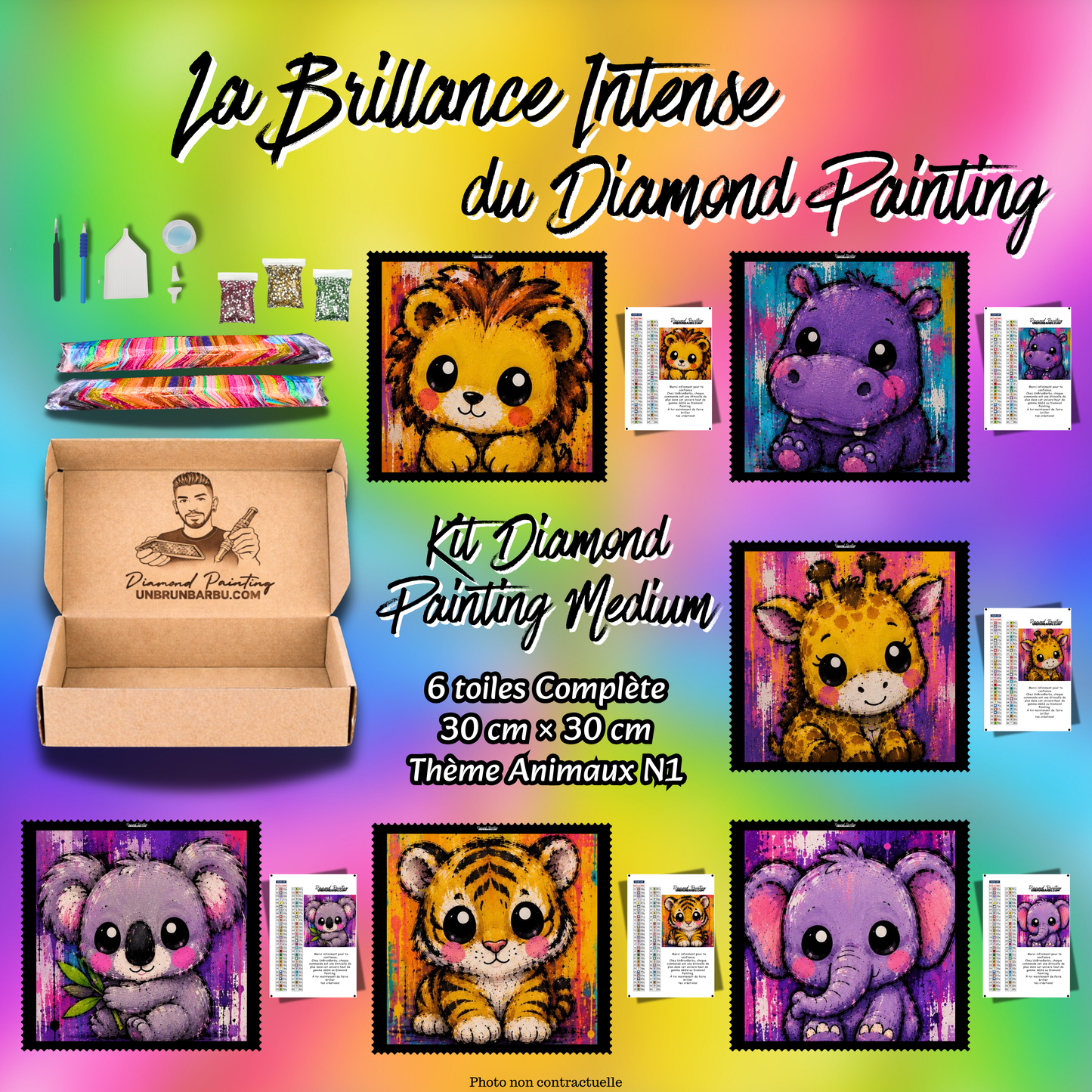 Kit Diamond Painting Medium Animaux N°1 avec 6 toiles de 30x30 cm et accessoires complets