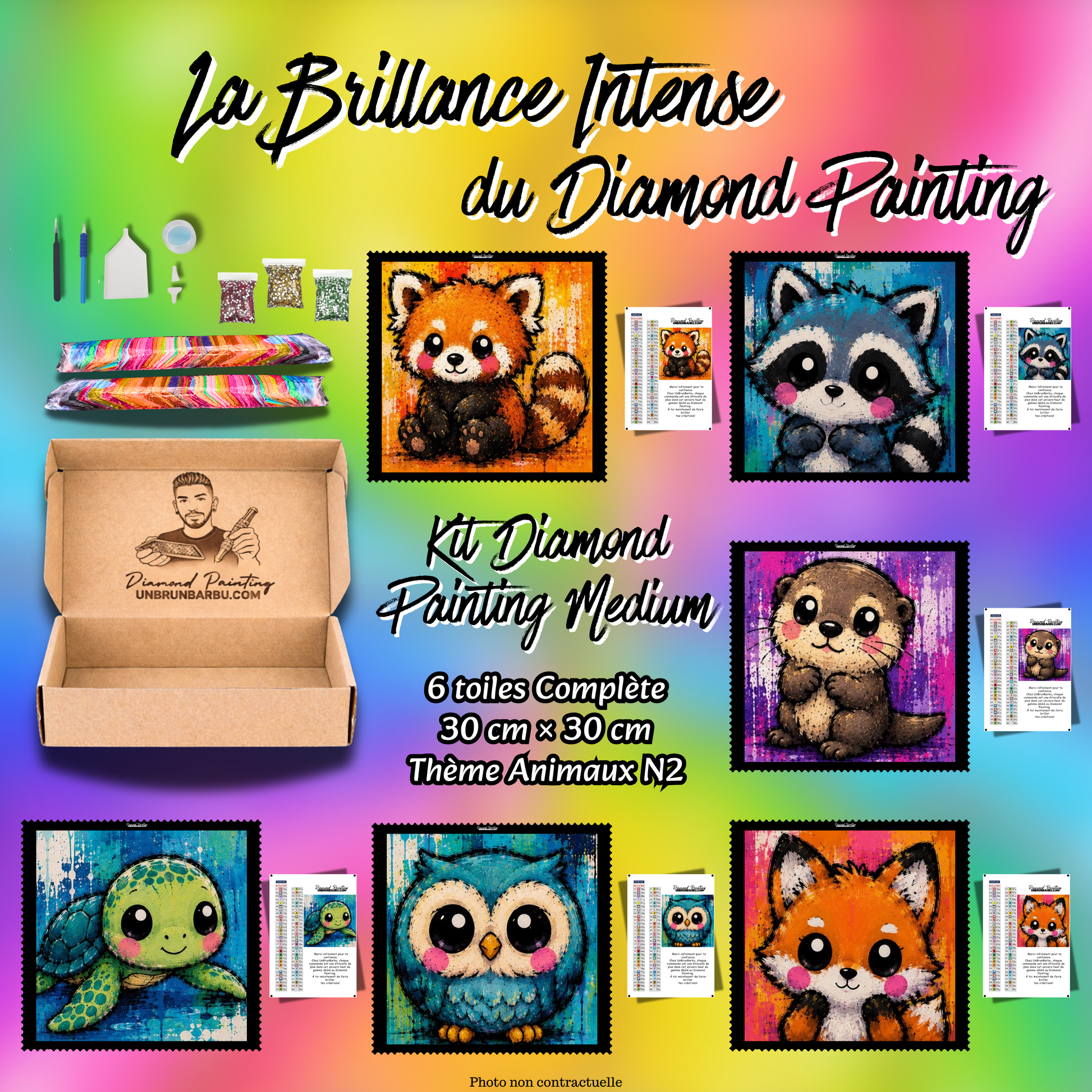Kit Diamond Painting Medium Animaux N°2 avec 6 toiles de 30x30 cm et accessoires complets