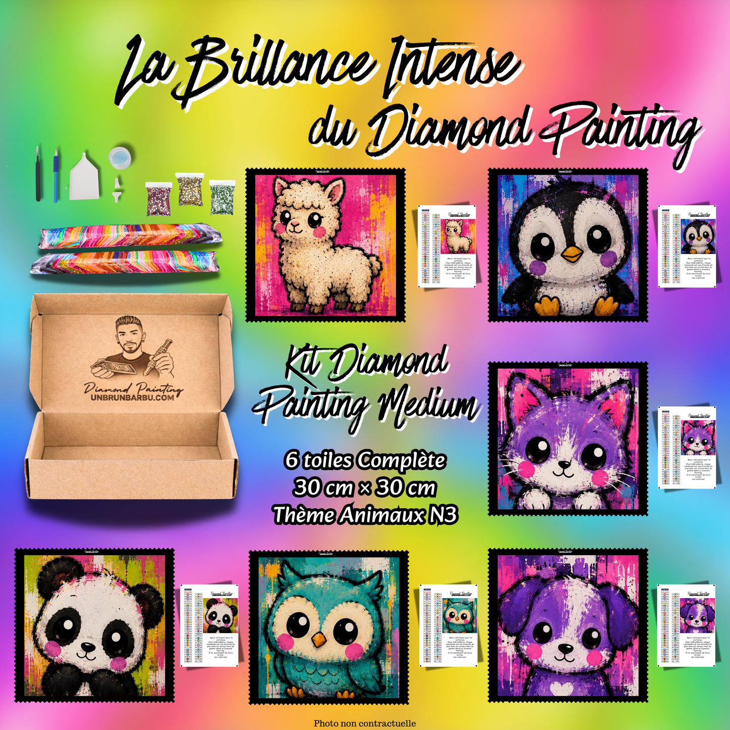 Kit Diamond Painting Medium Animaux N°3 avec 6 toiles de 30x30 cm et accessoires complets
