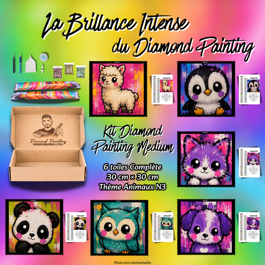 Kit Diamond Painting Medium Animaux N°3 avec 6 toiles de 30x30 cm et accessoires complets