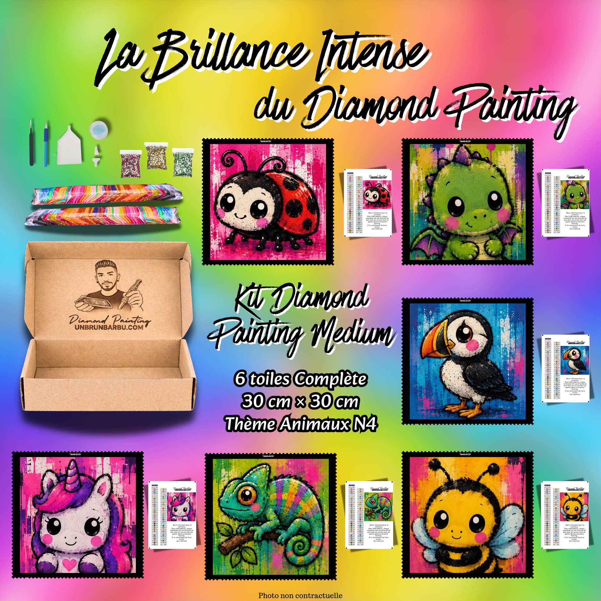 Kit Diamond Painting Medium Animaux N°4 avec 6 toiles 30x30 cm et accessoires complets