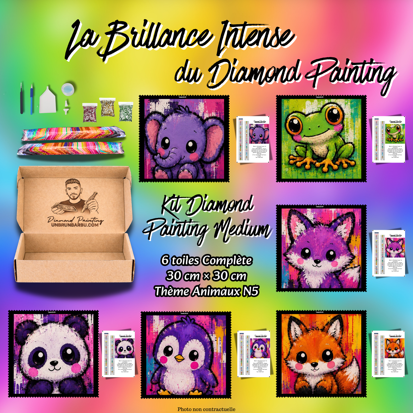Kit Diamond Painting Medium Animaux N°5 avec 6 toiles 30x30 cm et accessoires complets