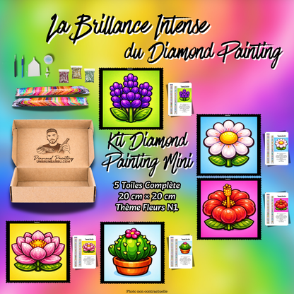 kit diamond painting mini fleurs n1 5 toiles 20x20 debutant
