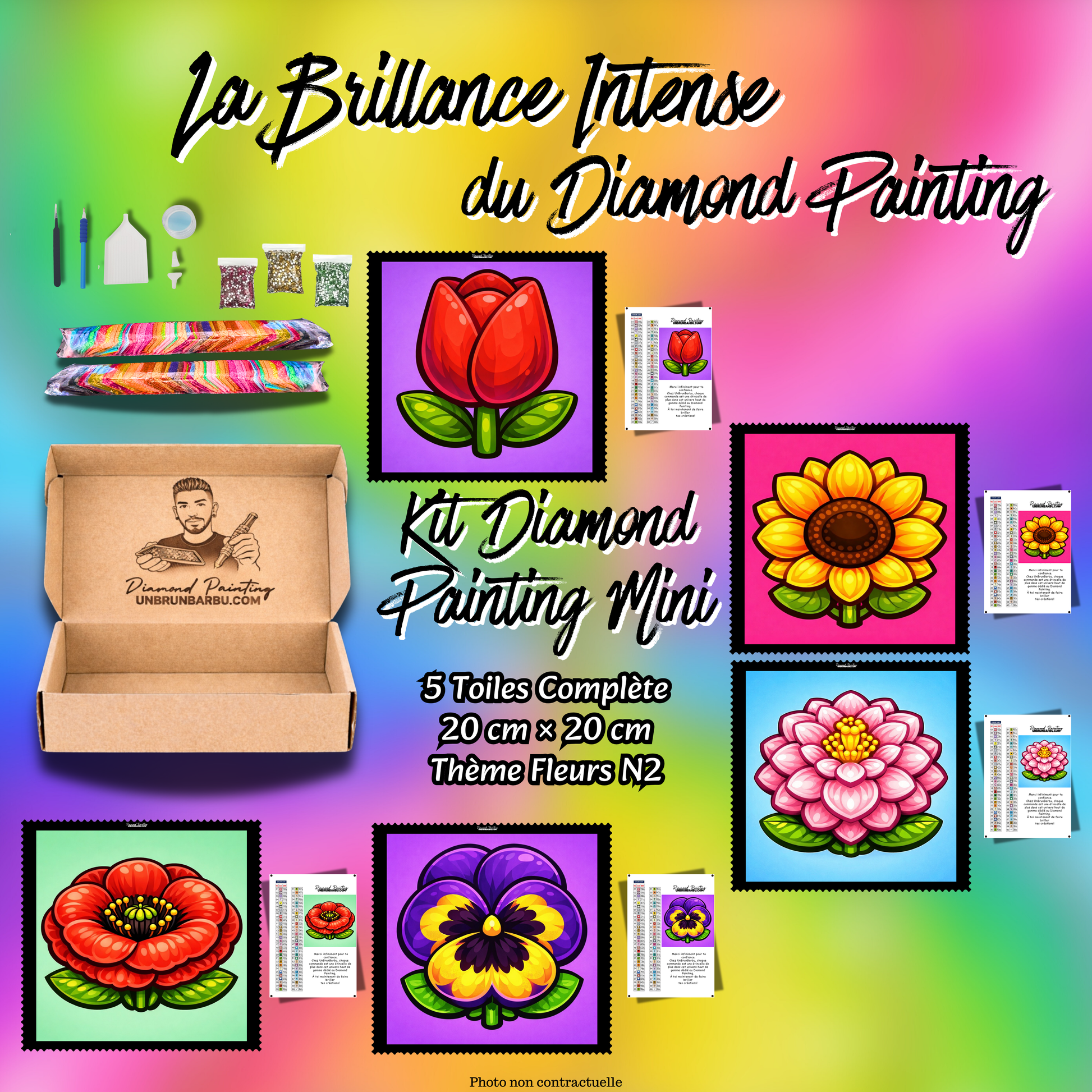 kit diamond painting mini fleurs n2 5 toiles 20x20 debutant