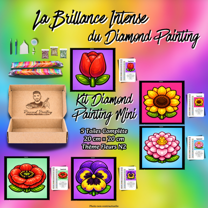 kit diamond painting mini fleurs n2 5 toiles 20x20 debutant