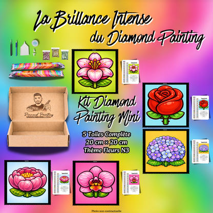 kit diamond painting mini fleurs n3-5-toiles-20x20