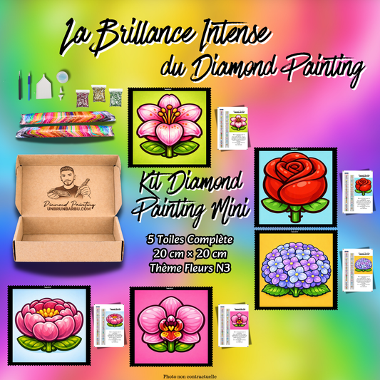 kit diamond painting mini fleurs n3-5-toiles-20x20