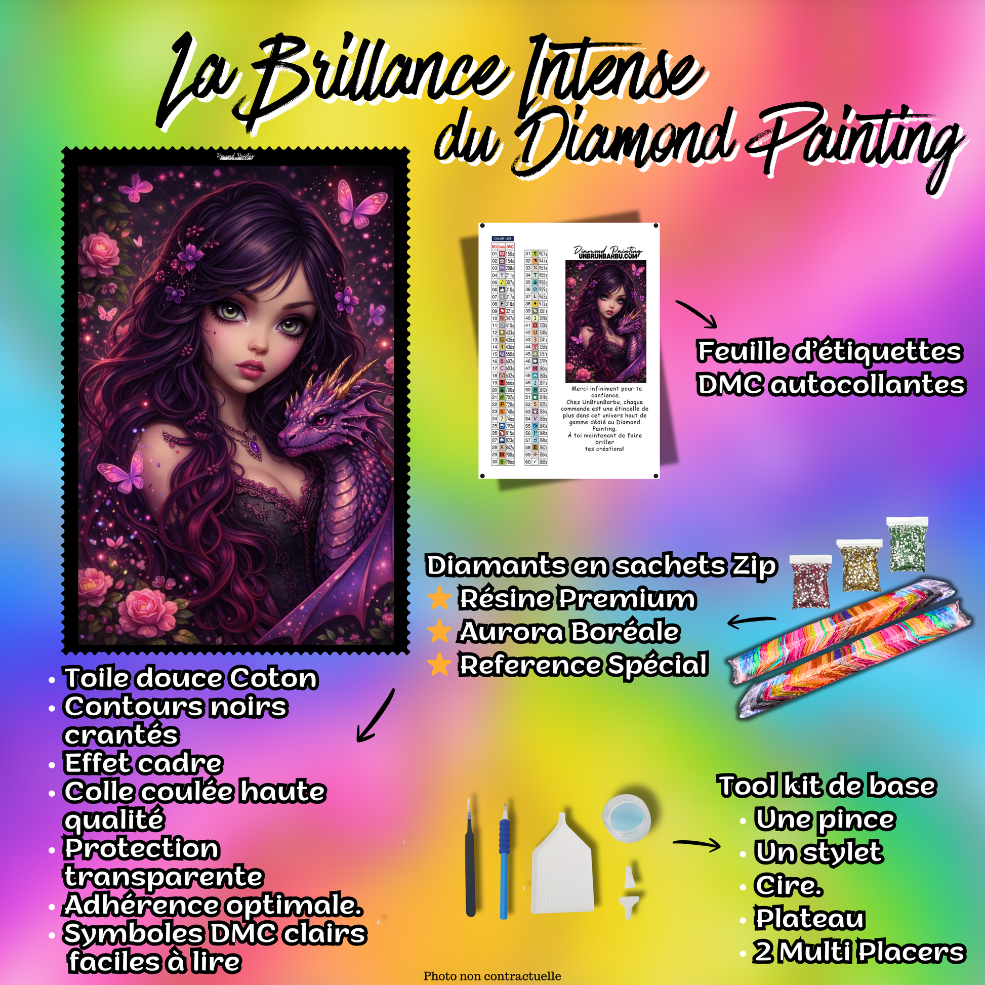 contenu kit diamond painting princesse dragon violet accessoires