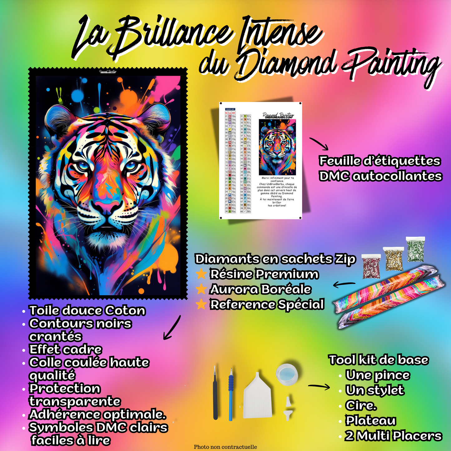 kit diamond painting tigre accessoires inclus