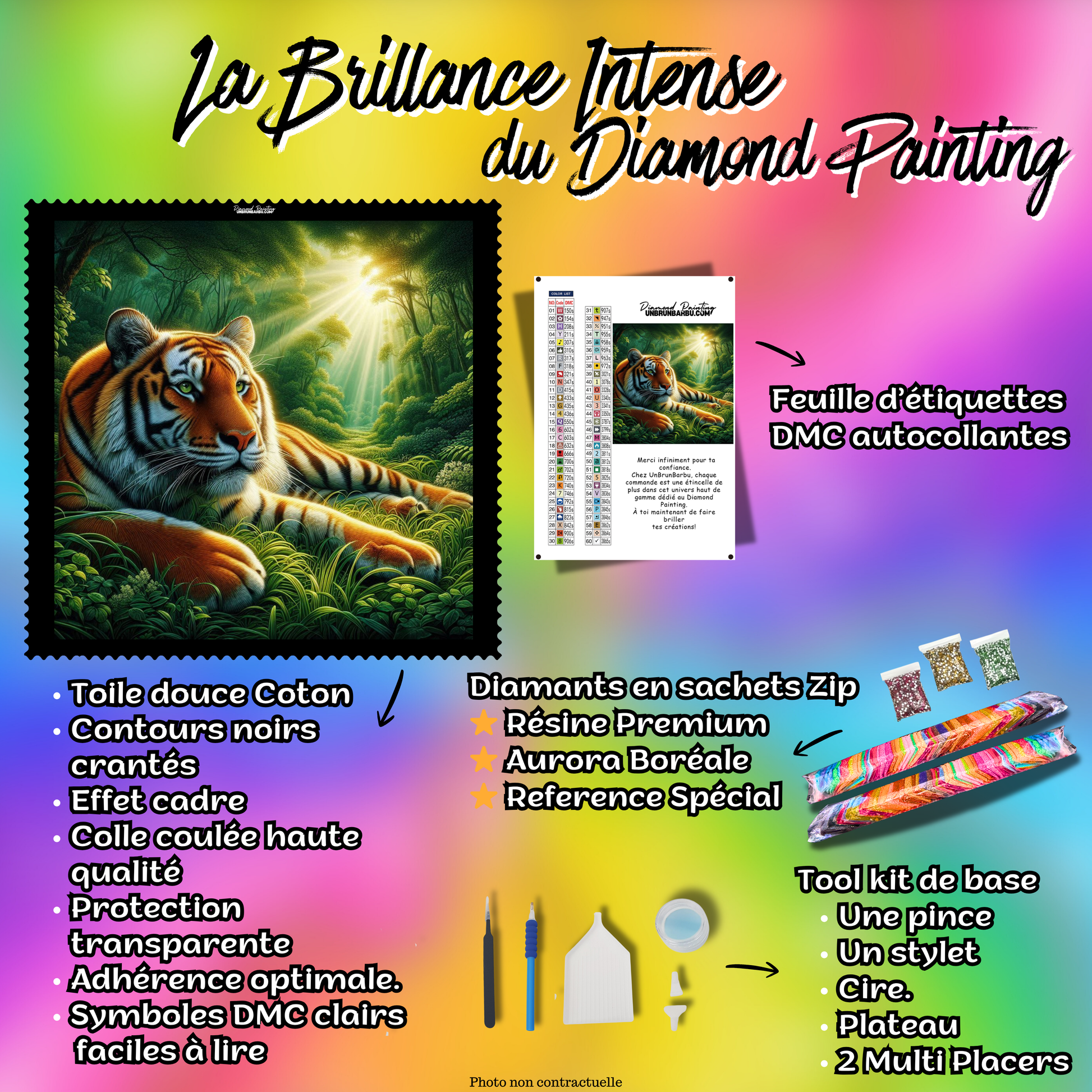 kit diamond painting tigre jungle accessoires inclus