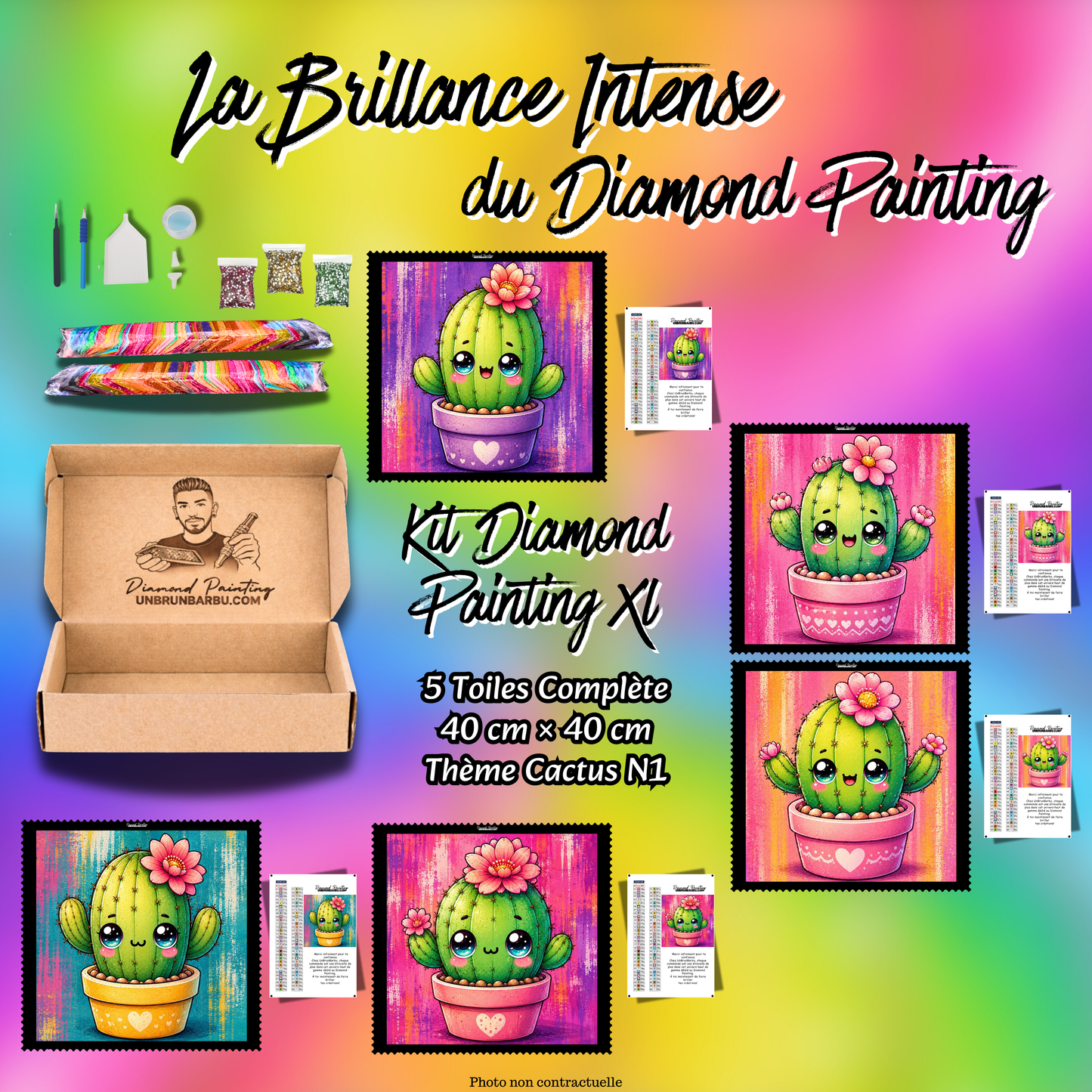 Kit Diamond Painting XL Cactus N°1 avec 5 toiles kawaii 40x40 cm et accessoires