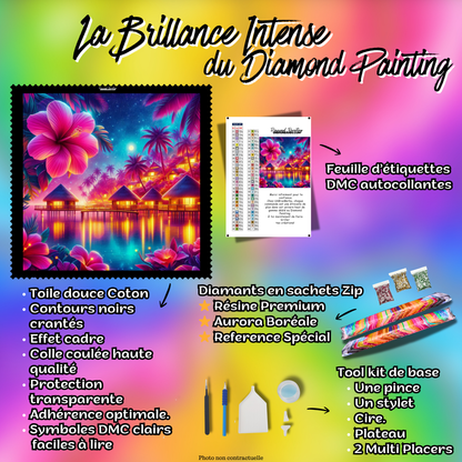 kit diamond painting complet toile diamants accessoires inclus