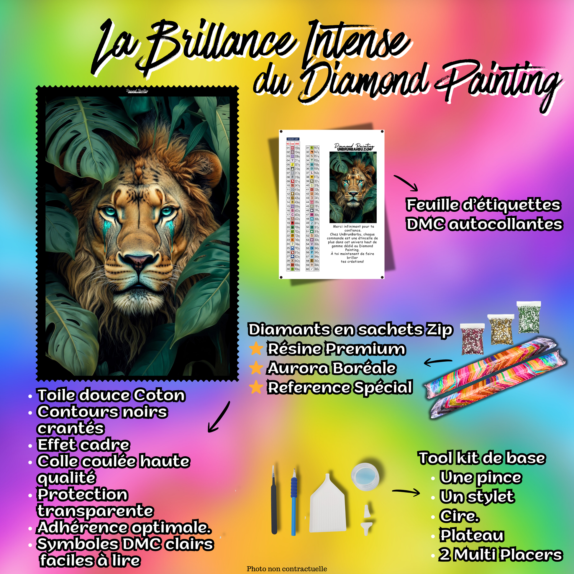 kit diamond painting lion mystique jungle 60x90 contenu complet