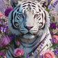 Diamond Painting - Tigre Blanc Douceur Sauvage (80cm x 120cm)