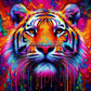 Tigre des Couleurs Interdites (80cm x 80cm) - UnBrunBarbu